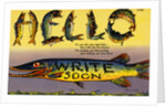 Fish Greeting Card by Anonymous