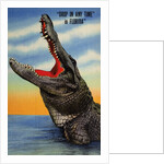 Drop in Any Time in Florida Postcard by Anonymous