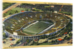The Rose Bowl by Anonymous