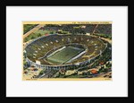 The Rose Bowl by Anonymous