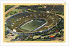 The Rose Bowl by Anonymous