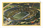 The Rose Bowl by Anonymous