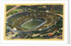 The Rose Bowl by Anonymous