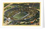The Rose Bowl by Anonymous