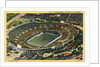 The Rose Bowl by Anonymous