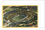 The Rose Bowl by Anonymous