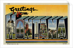 Greeting Card from Montana by Anonymous