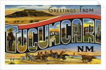Greeting Card from New Mexico by Anonymous