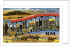 Greeting Card from New Mexico by Anonymous