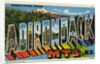 Greeting Card from the Adirondack Mountains by Anonymous
