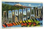 Greeting Card from the Adirondack Mountains by Anonymous