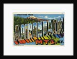 Greeting Card from the Adirondack Mountains by Anonymous