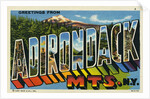 Greeting Card from the Adirondack Mountains by Anonymous