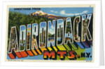 Greeting Card from the Adirondack Mountains by Anonymous