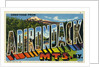 Greeting Card from the Adirondack Mountains by Anonymous