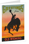 Greetings from Old Wyoming Postcard by Anonymous