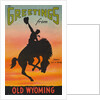 Greetings from Old Wyoming Postcard by Anonymous