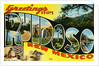 Greeting Card from New Mexico by Anonymous