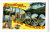 Greeting Card from New Mexico by Anonymous