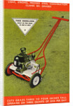 Toro Lawn Mover by Anonymous