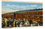Postcard of Troops Waving from Passing Train by Anonymous