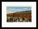 Postcard of Troops Waving from Passing Train by Anonymous