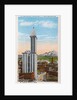 Postcard of L.C. Smith Building in Seattle by Anonymous
