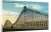 Giant Coaster, Brighton Beach N.Y. Postcard by Anonymous
