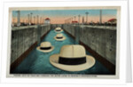 Postcard of Hats Floating Through Gatun Locks by Anonymous
