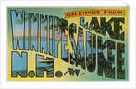Postcard of Lake Winnipesaukee, New Hampshire by Anonymous