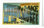 Postcard of Lake Winnipesaukee, New Hampshire by Anonymous
