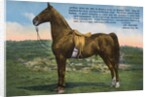 Postcard of Astral King by Anonymous