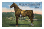 Postcard of Astral King by Anonymous