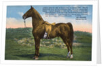 Postcard of Astral King by Anonymous