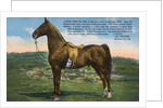 Postcard of Astral King by Anonymous