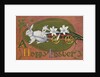 A Happy Easter Postcard with a Rabbit Pulling Lilies by Anonymous