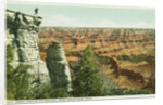 Grand Canyon of Arizona, from Grand View Point Postcard by Anonymous