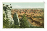 Grand Canyon of Arizona, from Grand View Point Postcard by Anonymous