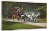An Adirondack Mountain Stage Postcard by Anonymous