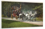 An Adirondack Mountain Stage Postcard by Anonymous