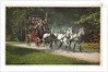 An Adirondack Mountain Stage Postcard by Anonymous