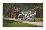 An Adirondack Mountain Stage Postcard by Anonymous