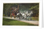 An Adirondack Mountain Stage Postcard by Anonymous