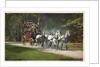 An Adirondack Mountain Stage Postcard by Anonymous
