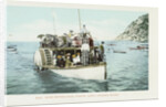 Glass Bottom Boat, Avalon, Santa Catalina Island Postcard by Anonymous