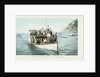 Glass Bottom Boat, Avalon, Santa Catalina Island Postcard by Anonymous