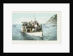 Glass Bottom Boat, Avalon, Santa Catalina Island Postcard by Anonymous