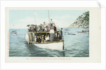 Glass Bottom Boat, Avalon, Santa Catalina Island Postcard by Anonymous