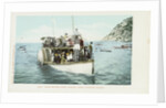 Glass Bottom Boat, Avalon, Santa Catalina Island Postcard by Anonymous