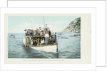 Glass Bottom Boat, Avalon, Santa Catalina Island Postcard by Anonymous